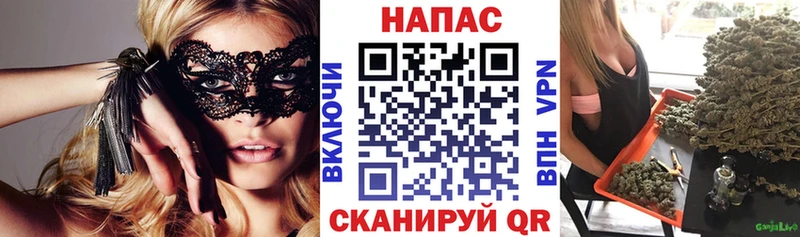 как найти закладки  гидра рабочий сайт  Каннабис сатива  Великий Новгород 